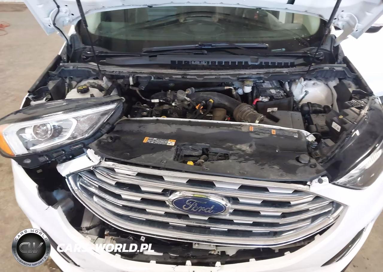 2019 Ford Edge Sel VIN:2FMPK3J91KBB69447 - 10