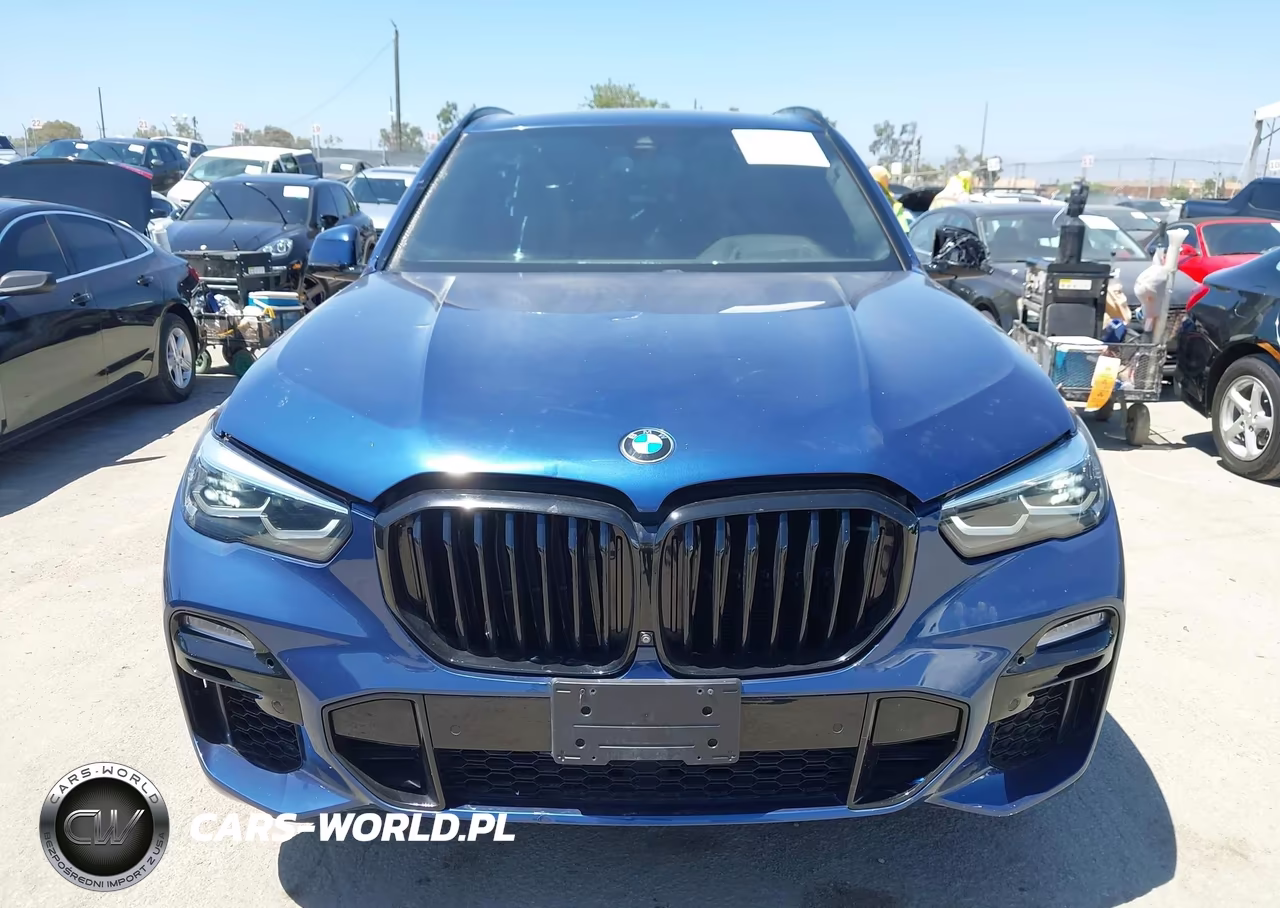 2021 BMW X5 Sdrive40I VIN:5UXCR4C04M9G33559 - 12