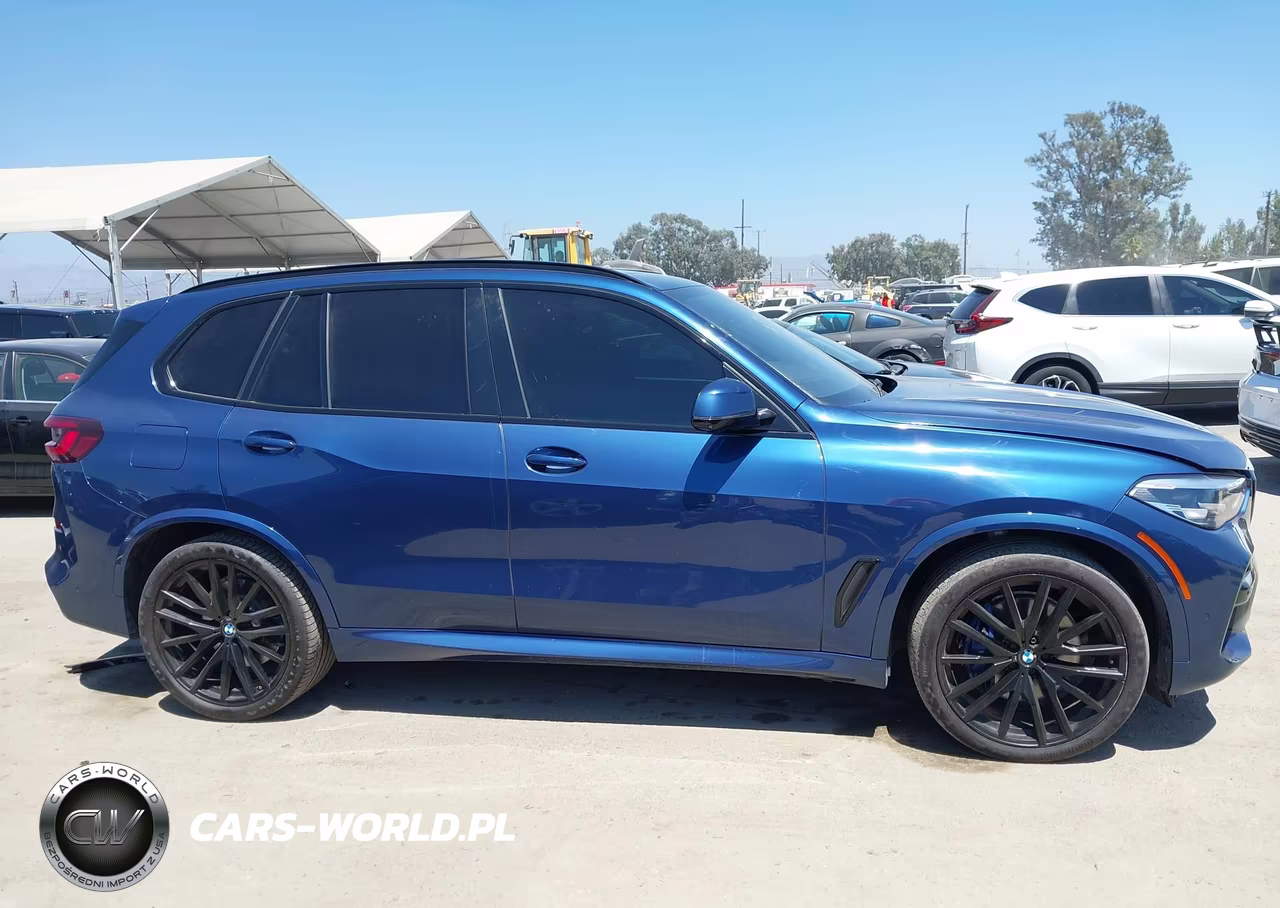 2021 BMW X5 Sdrive40I VIN:5UXCR4C04M9G33559 - 13
