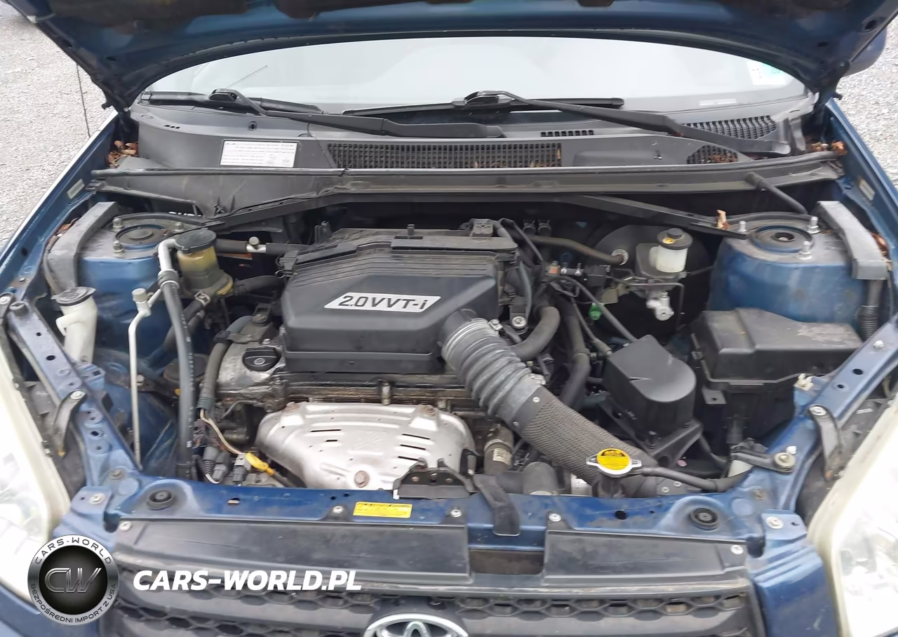 2003 Toyota Rav4 VIN:JTEHH20V136076830 - 10