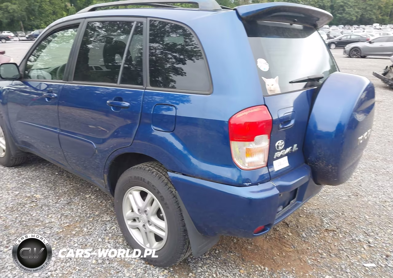 2003 Toyota Rav4 VIN:JTEHH20V136076830 - 6