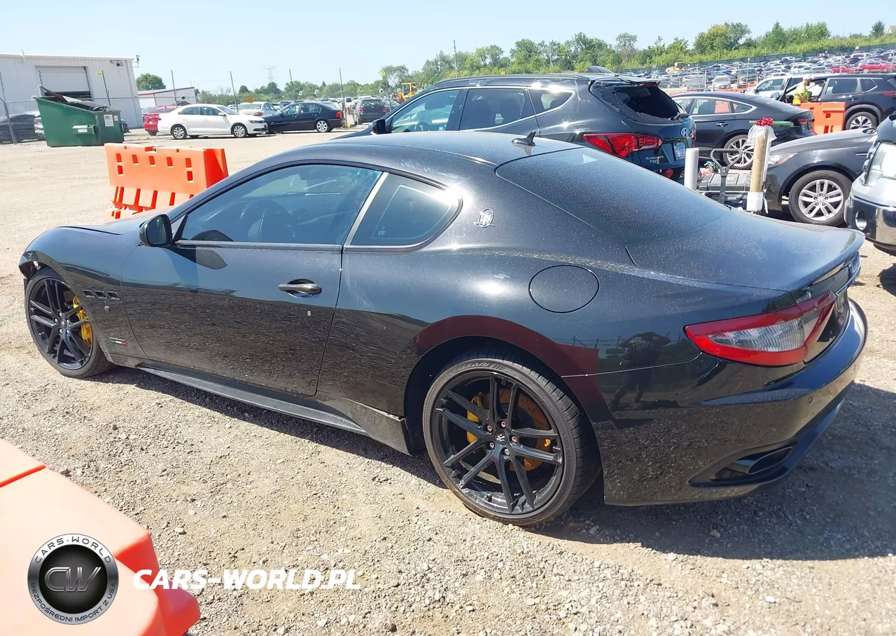 2016 Maserati Granturismo Mc-Mc Centennial-Sport VIN:ZAM45VLA1G0177456 - 14