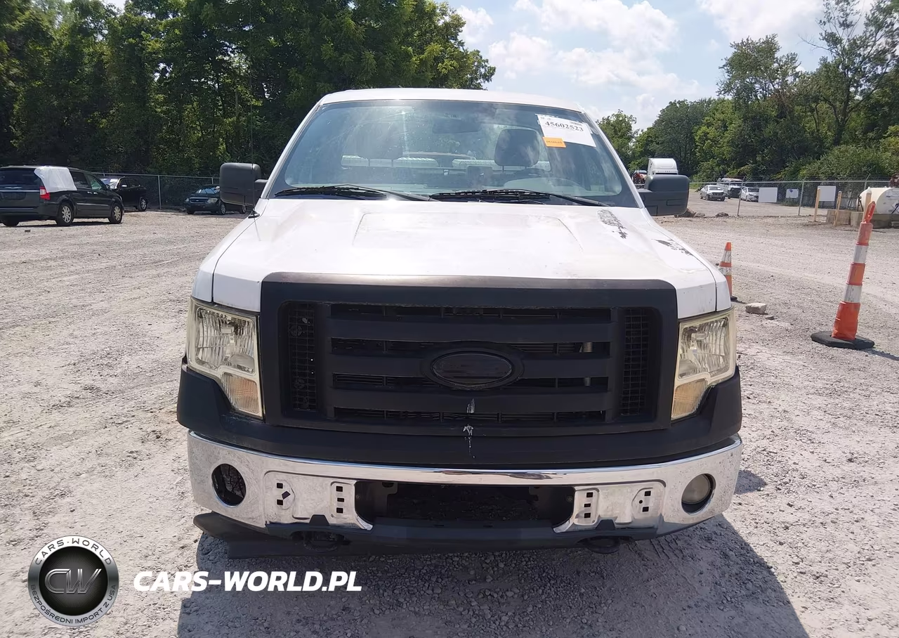 2009 Ford F150 VIN:1FTRF14W89KA39835 - 12