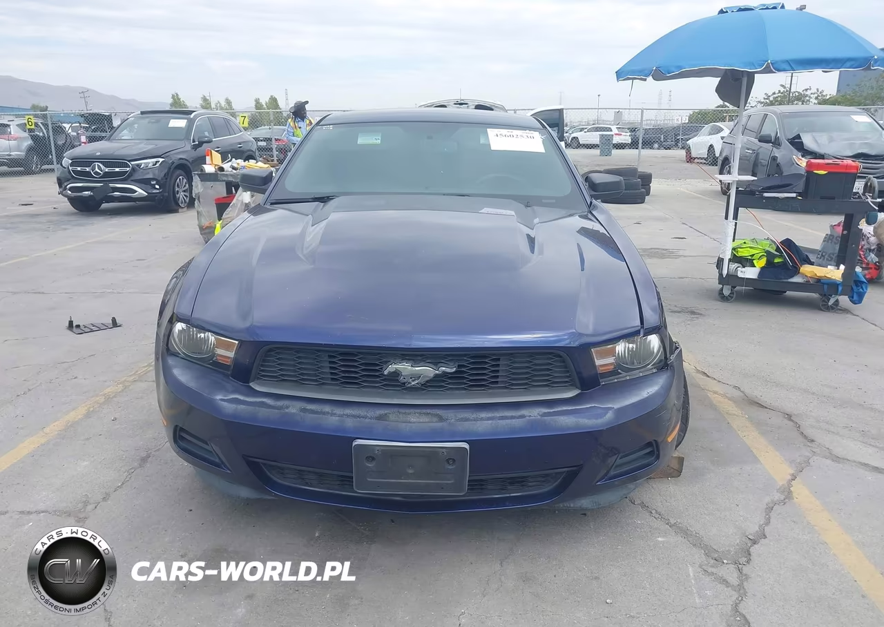2012 Ford Mustang V6 Premium VIN:1ZVBP8AM1C5210339 - 12