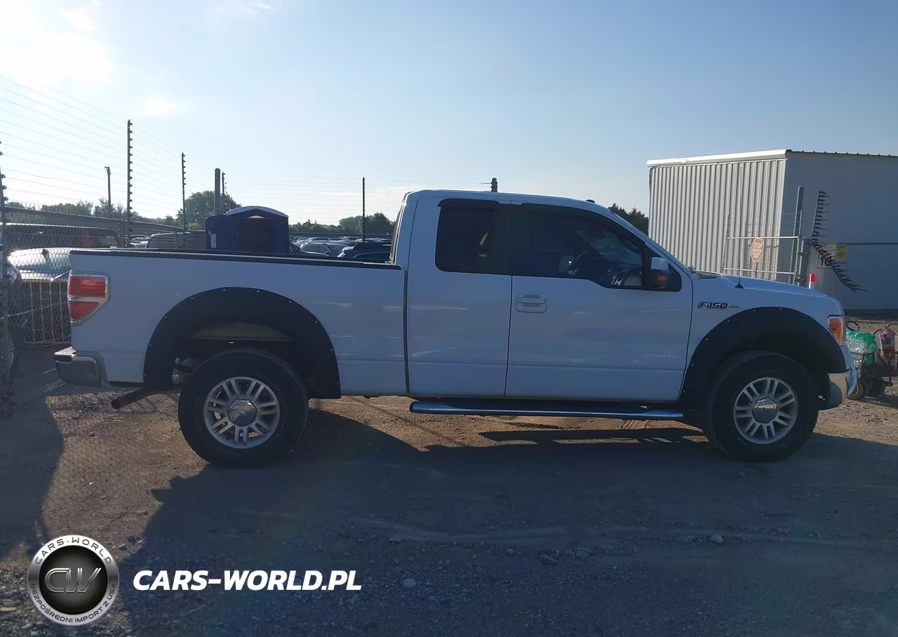 2010 Ford F-150 Fx4-Lariat-Xl-Xlt VIN:1FTFX1EV1AFB48348 - 13