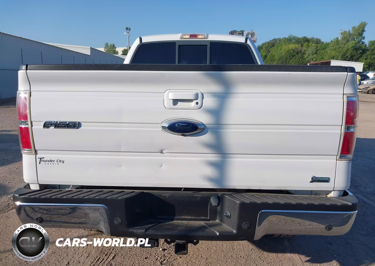 2010 Ford F-150 Fx4-Lariat-Xl-Xlt VIN:1FTFX1EV1AFB48348 - 16