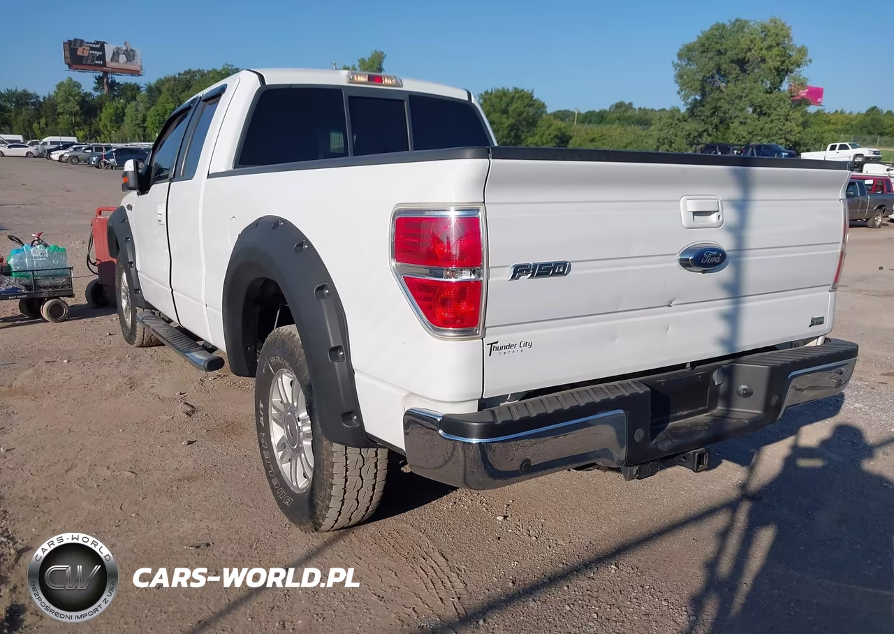 2010 Ford F-150 Fx4-Lariat-Xl-Xlt VIN:1FTFX1EV1AFB48348 - 3