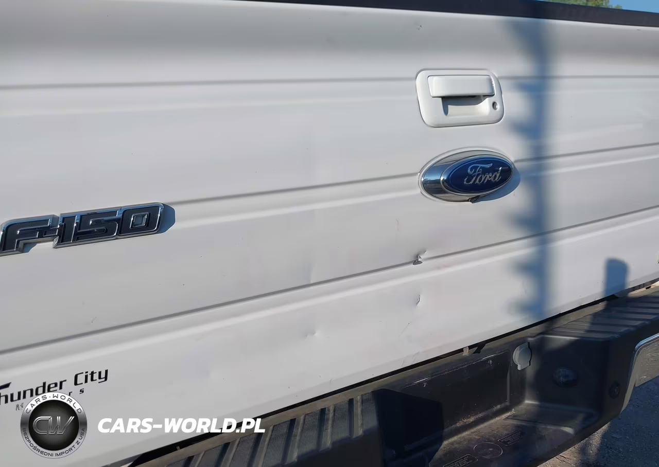 2010 Ford F-150 Fx4-Lariat-Xl-Xlt VIN:1FTFX1EV1AFB48348 - 6