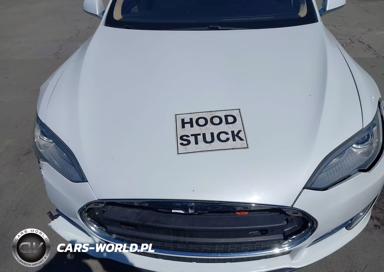 2013 Tesla Model S VIN:5YJSA1AG1DFP04870 - 10