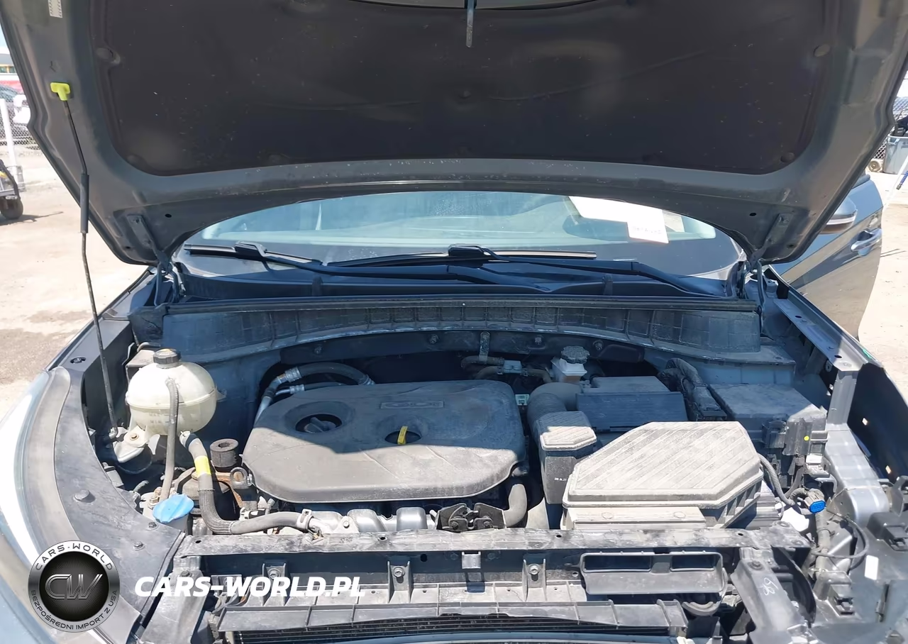 2018 Hyundai Tucson Sel Plus VIN:KM8J3CA41JU748521 - 10