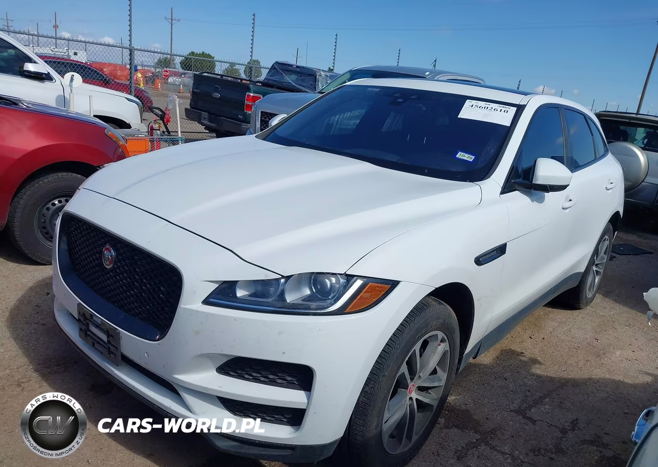 2020 Jaguar F-Pace Premium P250 Awd Automatic VIN:SADCJ2FX5LA657230 - 2