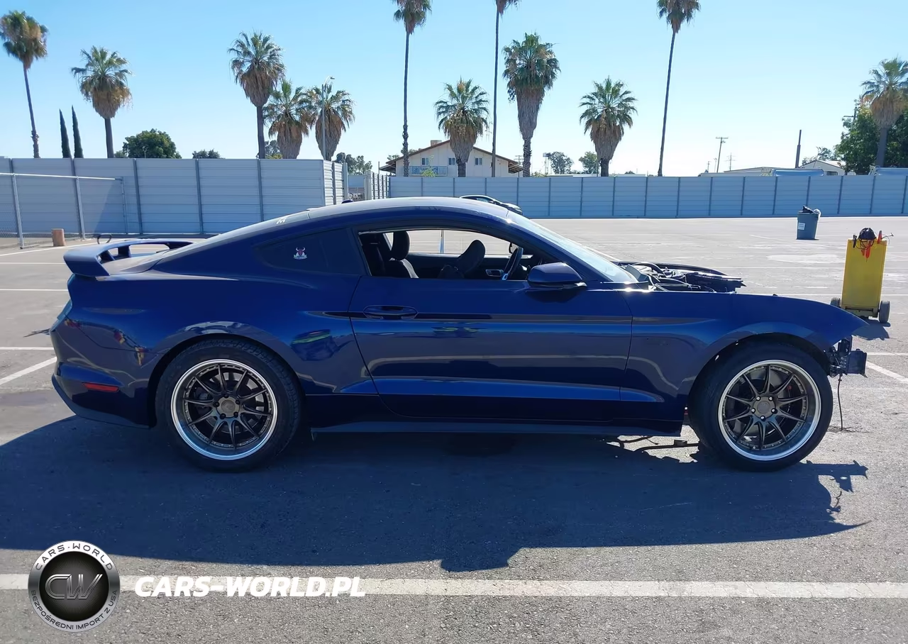 2019 Ford Mustang Gt VIN:1FA6P8CF8K5138224 - 13