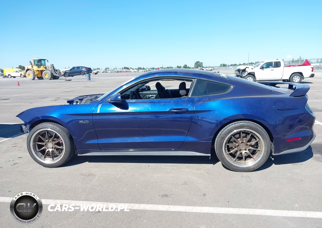 2019 Ford Mustang Gt VIN:1FA6P8CF8K5138224 - 14