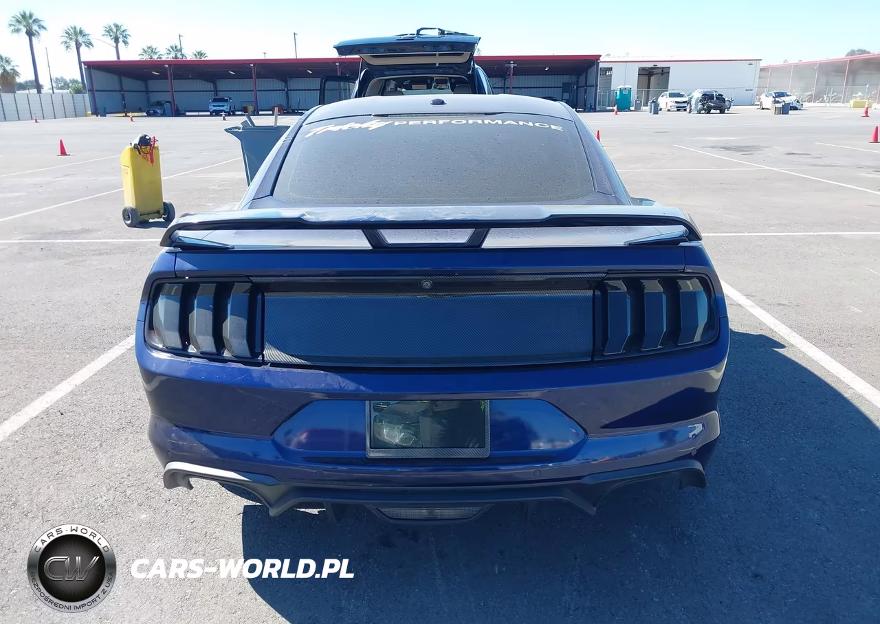 2019 Ford Mustang Gt VIN:1FA6P8CF8K5138224 - 16