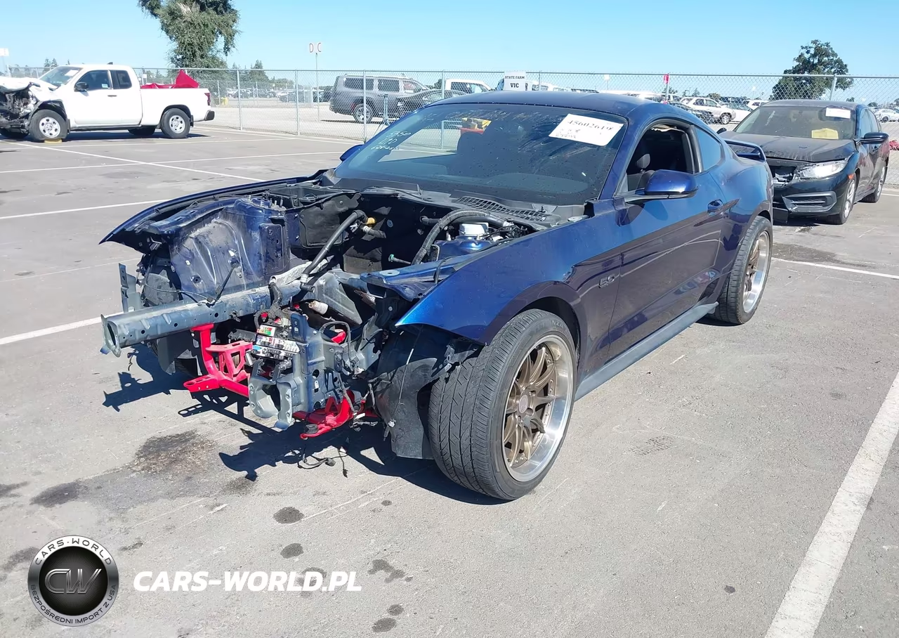 2019 Ford Mustang Gt VIN:1FA6P8CF8K5138224 - 2