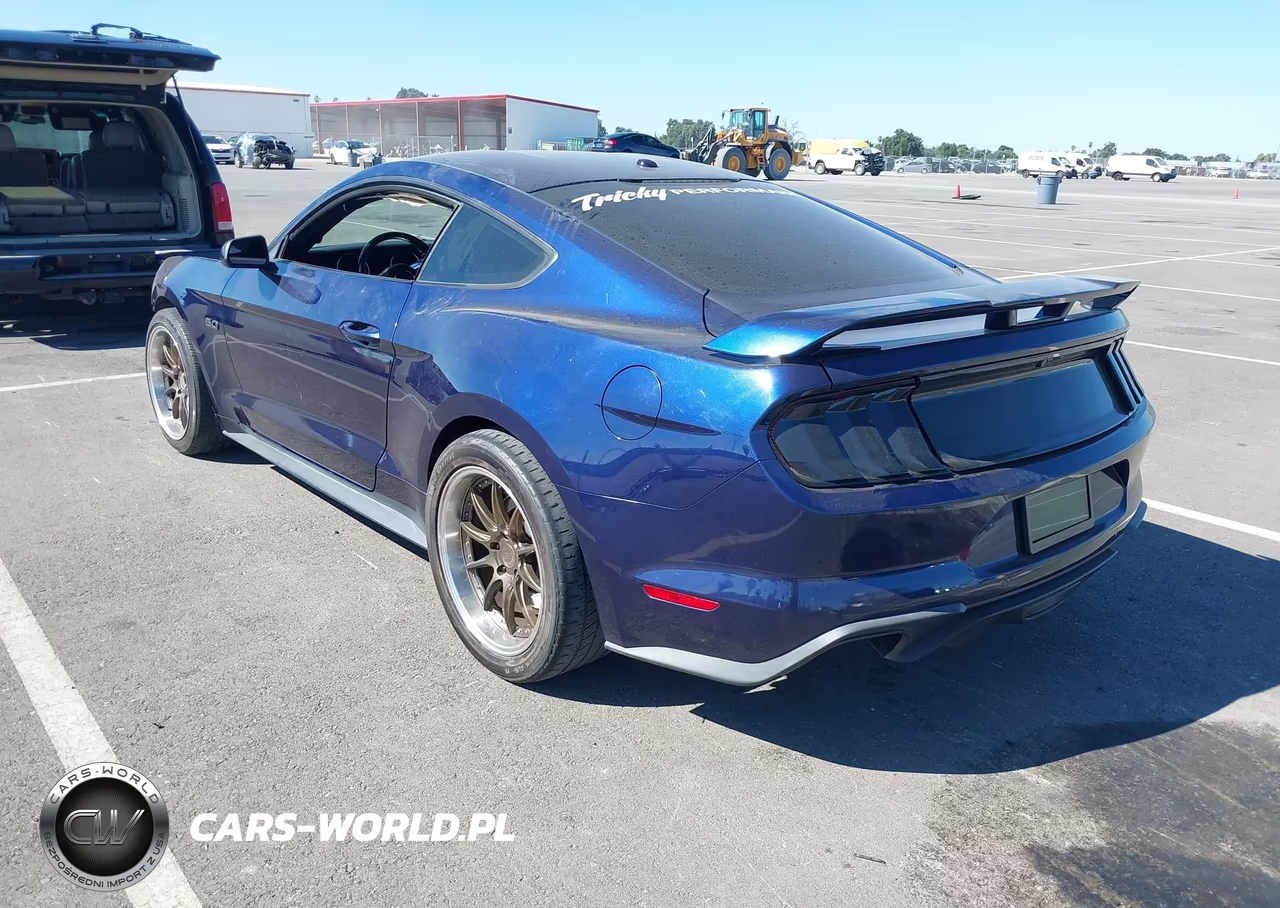 2019 Ford Mustang Gt VIN:1FA6P8CF8K5138224 - 3