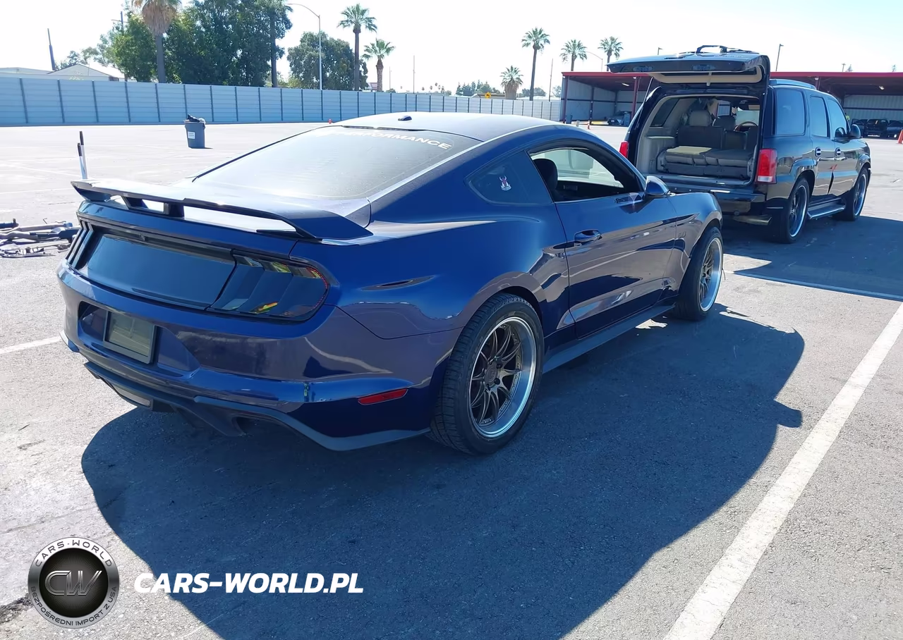 2019 Ford Mustang Gt VIN:1FA6P8CF8K5138224 - 4