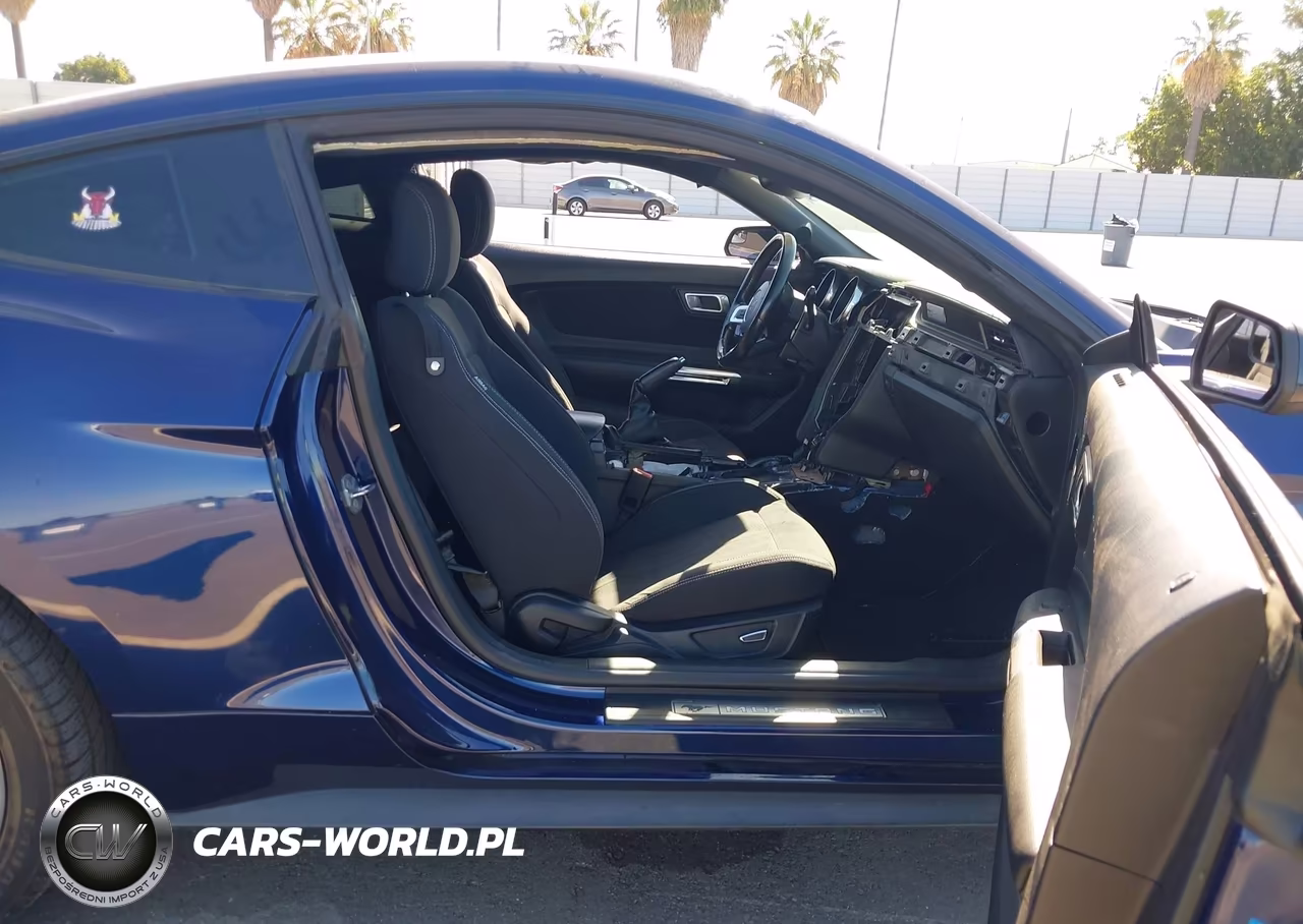 2019 Ford Mustang Gt VIN:1FA6P8CF8K5138224 - 5