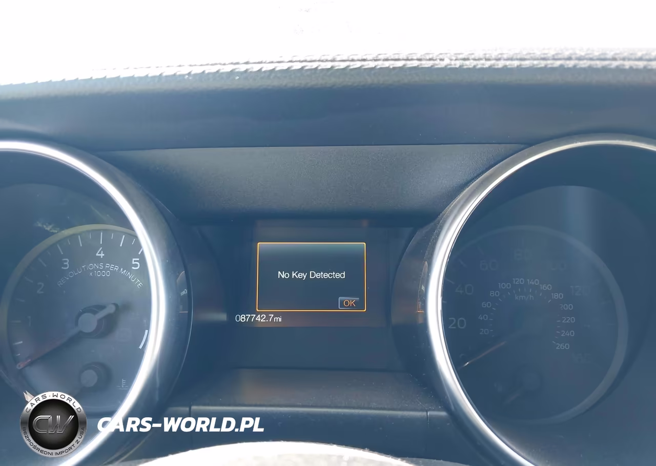 2019 Ford Mustang Gt VIN:1FA6P8CF8K5138224 - 7