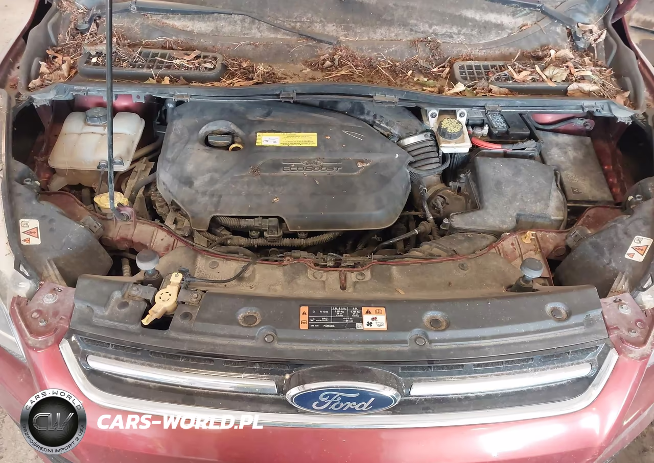 2016 Ford Escape Titanium VIN:1FMCU9JX8GUA64769 - 10