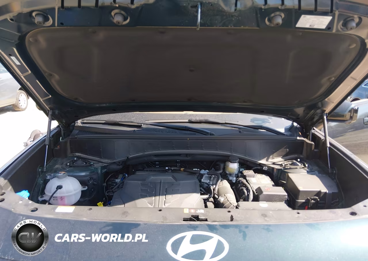 2026 Hyundai Palisade Calligraphy VIN:KM8RMES28TU056283 - 10