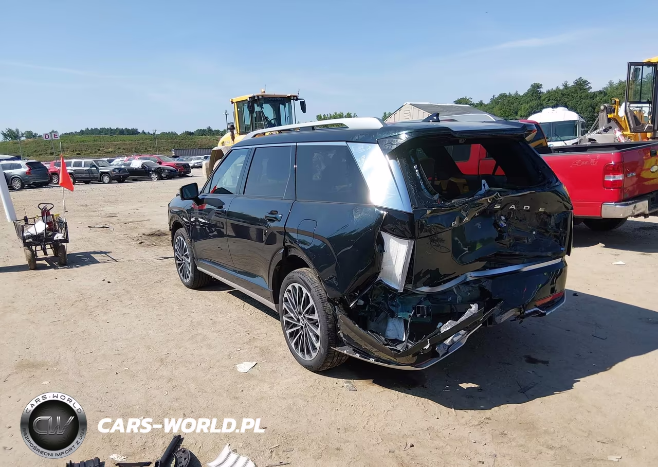2026 Hyundai Palisade Calligraphy VIN:KM8RMES28TU056283 - 3