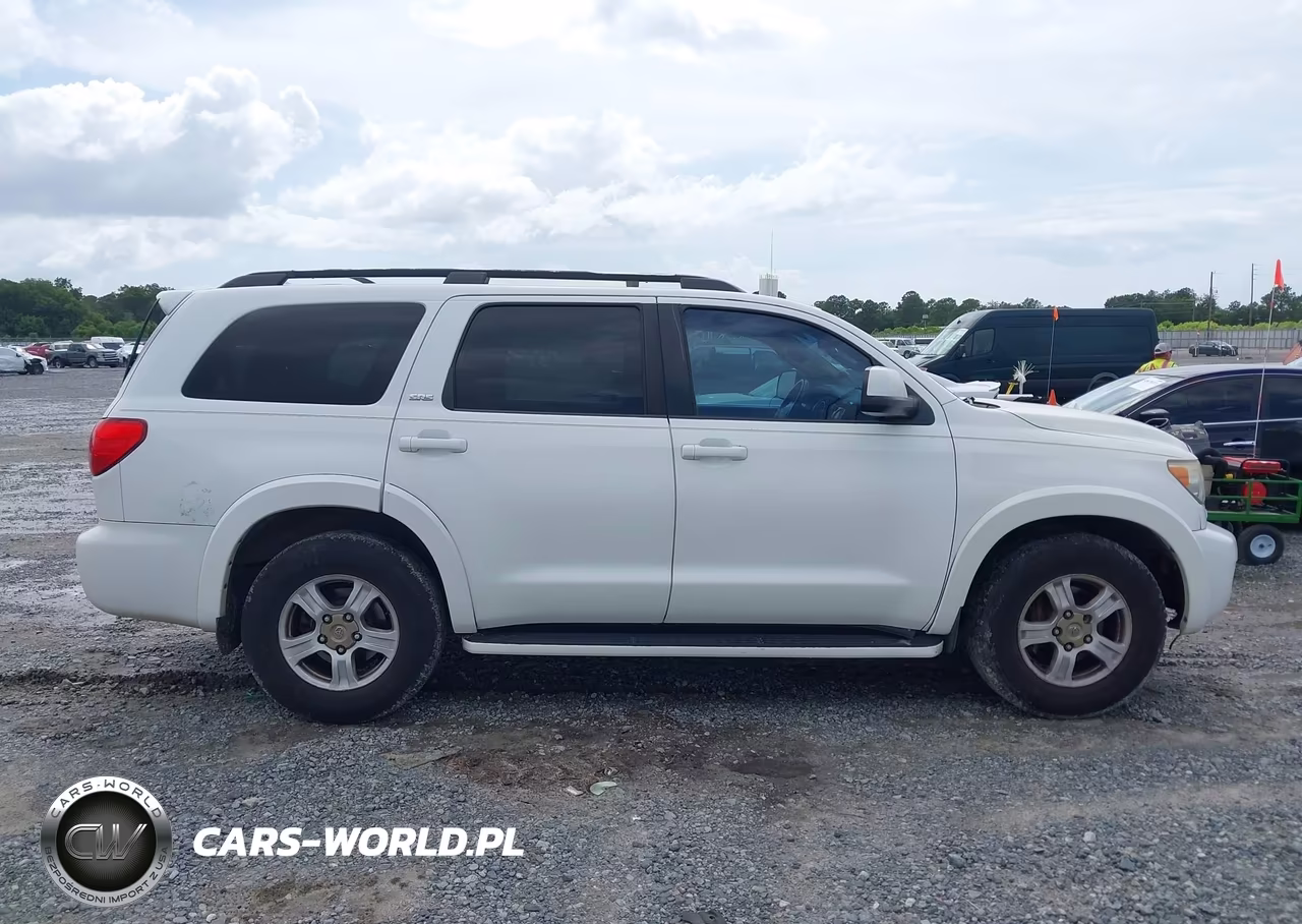 2010 Toyota Sequoia Sr5 4.6L V8 VIN:5TDZM5G15AS001361 - 13
