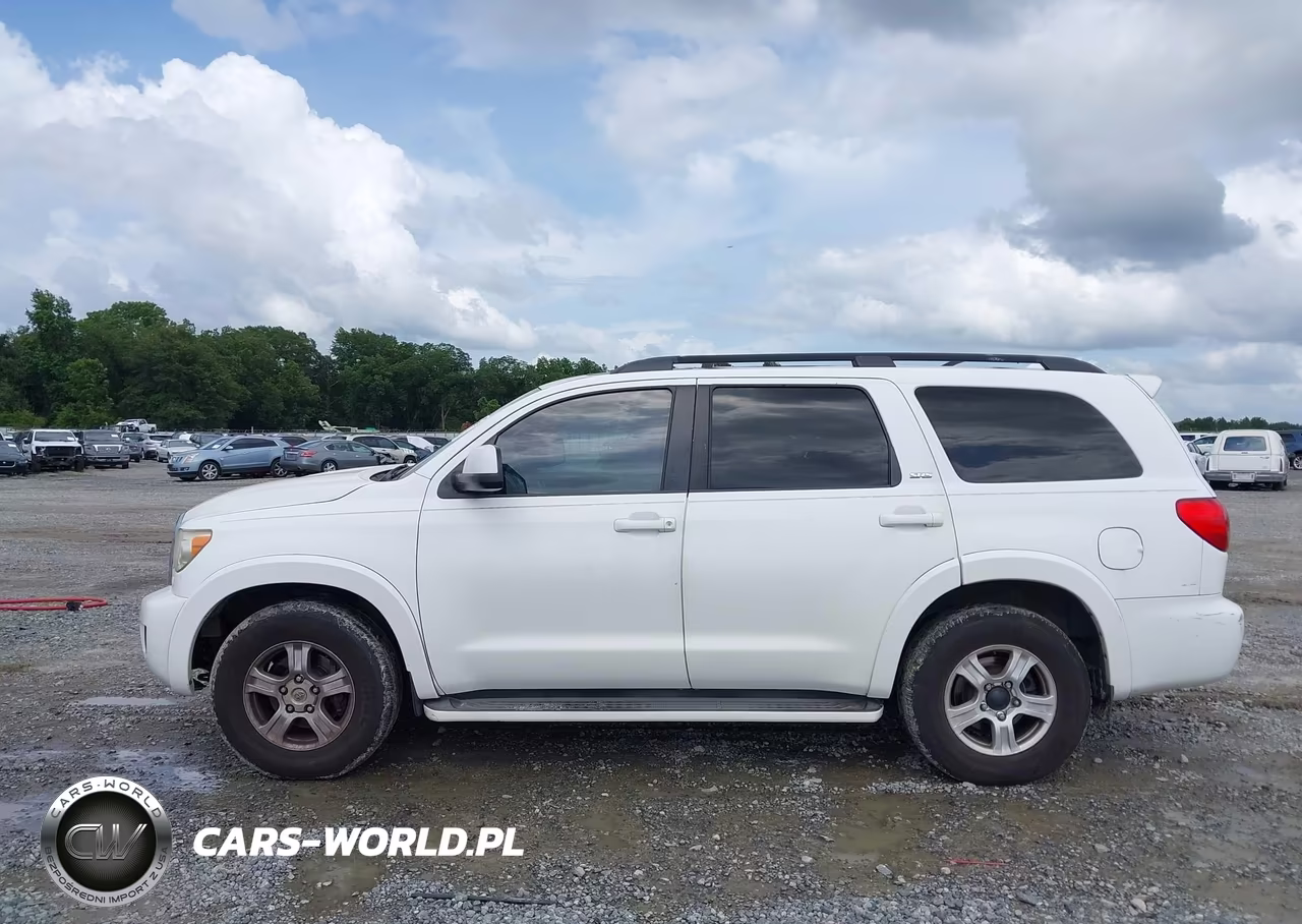 2010 Toyota Sequoia Sr5 4.6L V8 VIN:5TDZM5G15AS001361 - 14