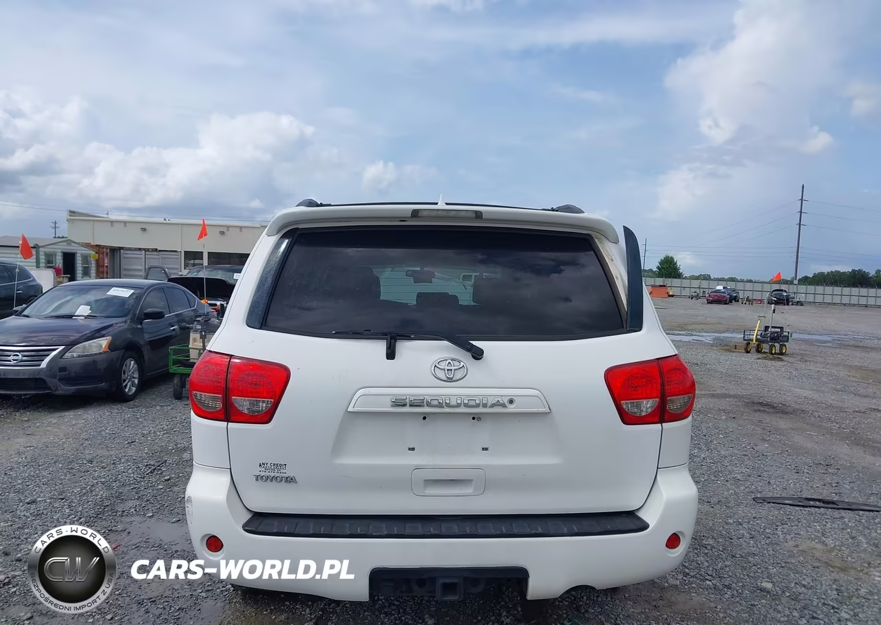 2010 Toyota Sequoia Sr5 4.6L V8 VIN:5TDZM5G15AS001361 - 16