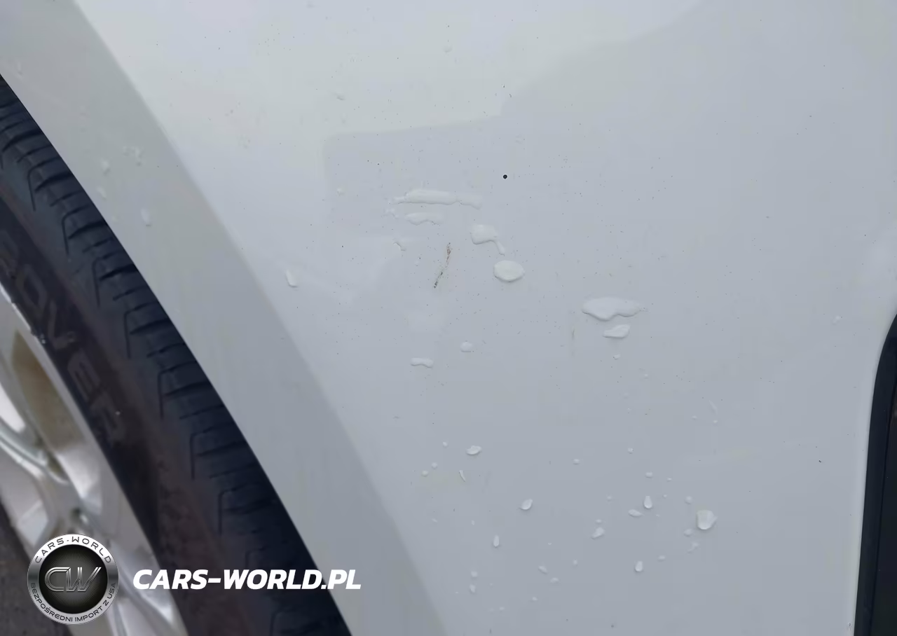 2020 Land Rover Range Rover Evoque S VIN:SALZJ2FXXLH006410 - 6