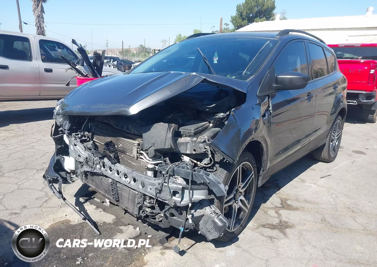 2019 Ford Escape Sel VIN:1FMCU0HD7KUB62661 - 2