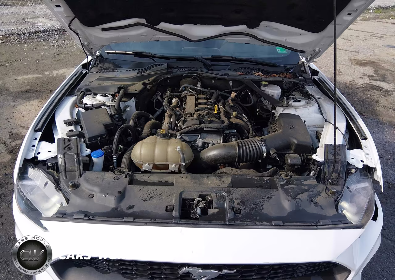 2022 Ford Mustang Ecoboost Premium VIN:1FATP8UH8N5106025 - 10