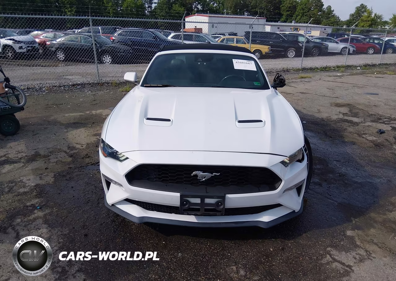 2022 Ford Mustang Ecoboost Premium VIN:1FATP8UH8N5106025 - 12