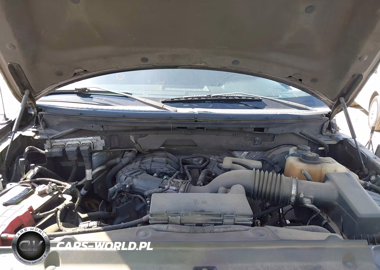 2011 Ford F-150 Xl-Xlt VIN:1FTEW1CM6BFB80805 - 10