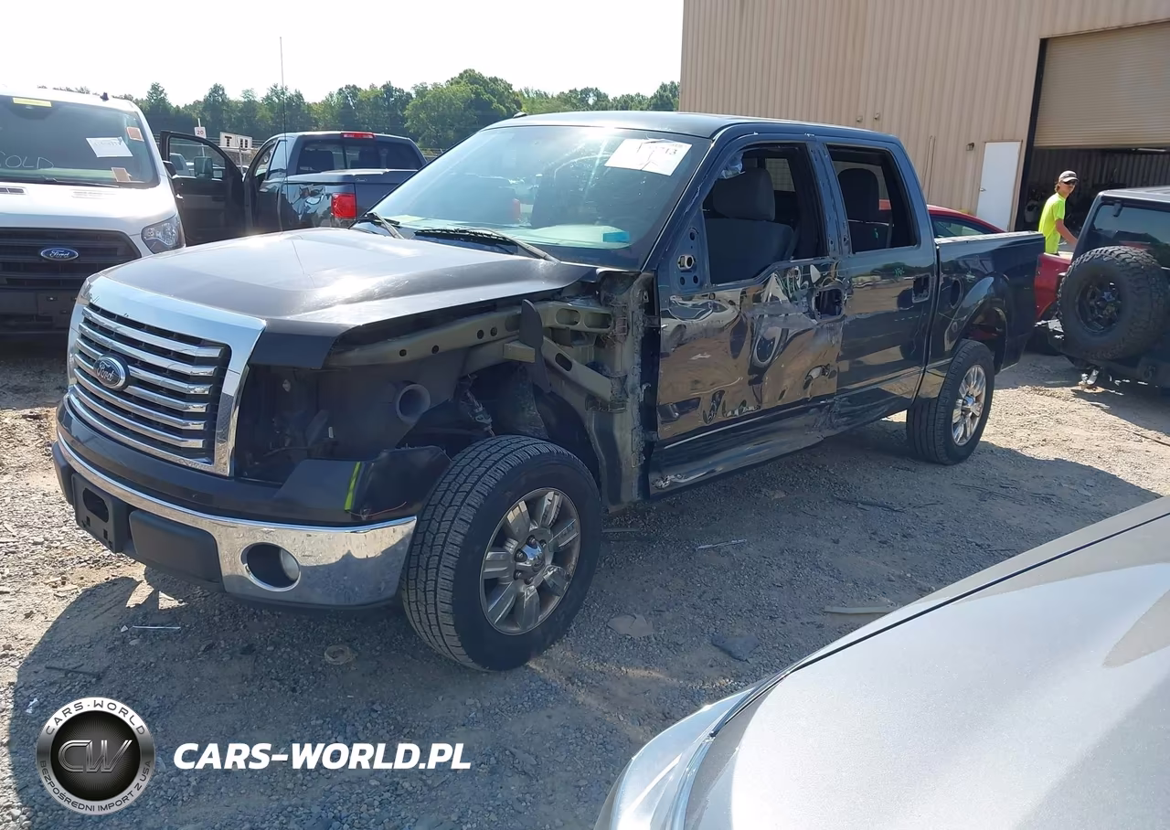 2011 Ford F-150 Xl-Xlt VIN:1FTEW1CM6BFB80805 - 2