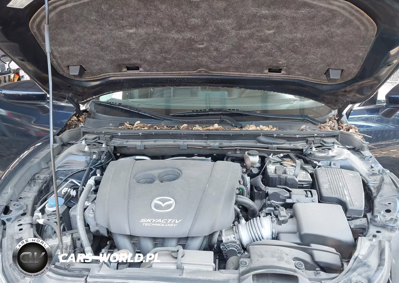 2016 Mazda Mazda6 VIN:JM1GJ1V52G1466152 - 10