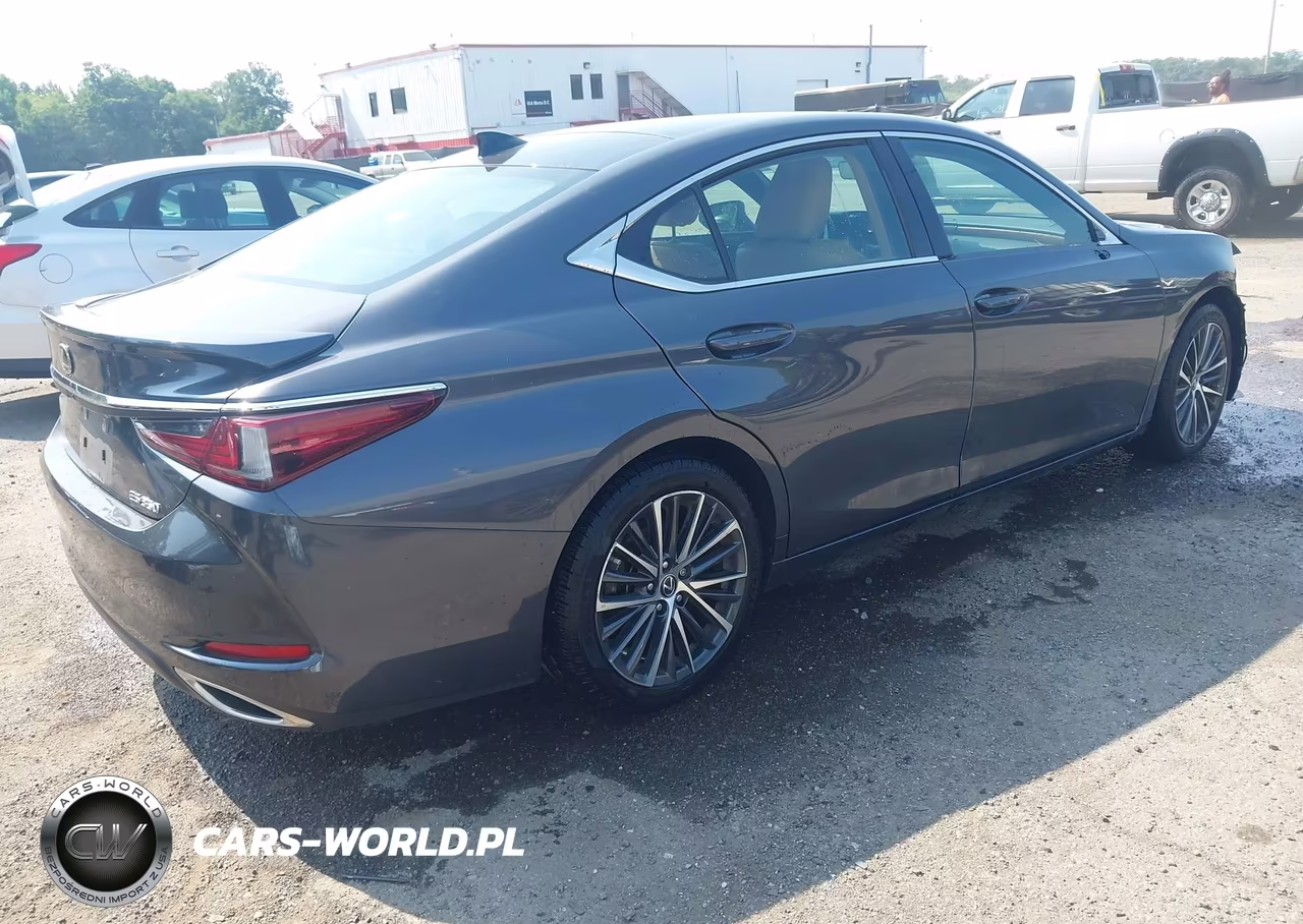 2023 Lexus Es 350 VIN:58ADZ1B10PU146960 - 4
