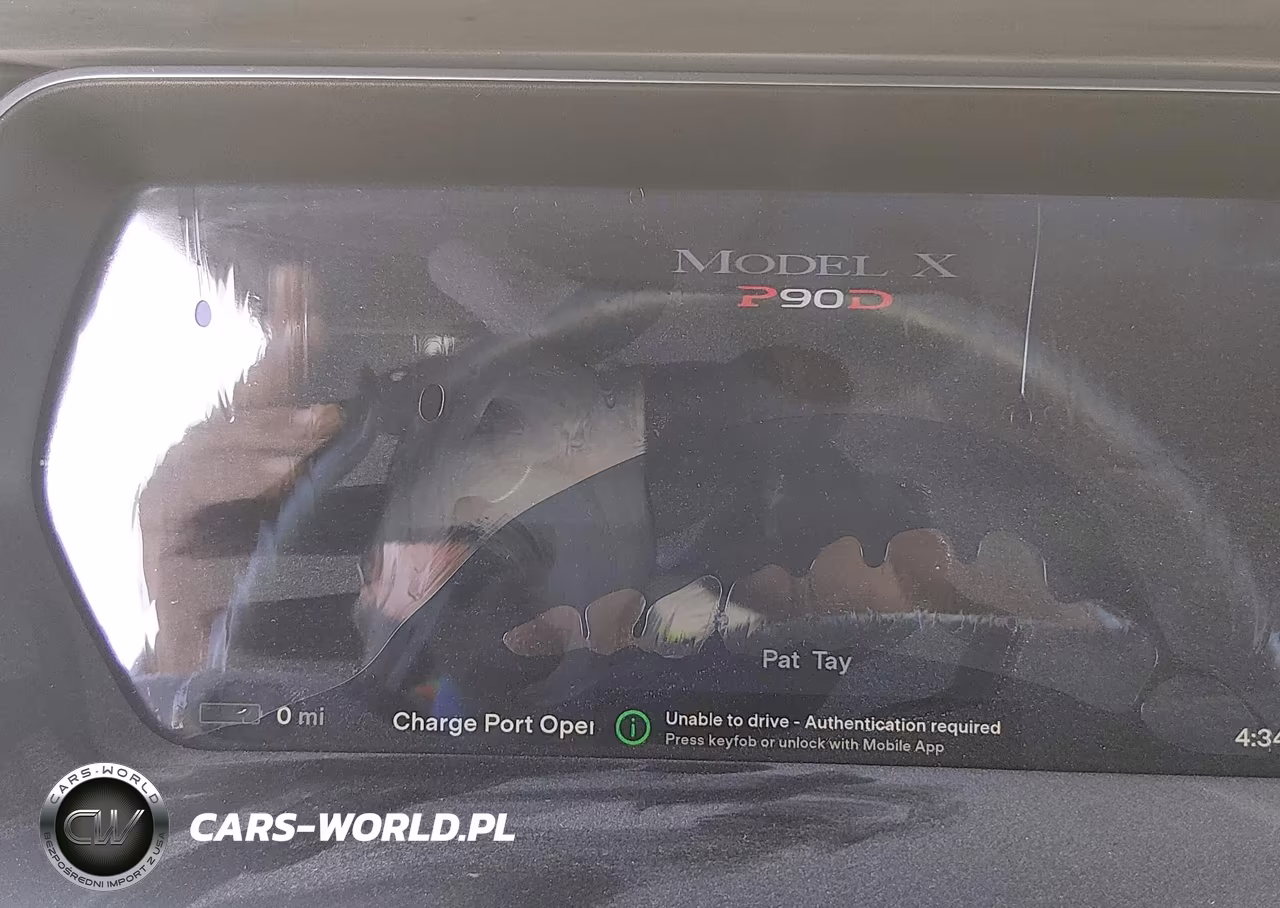 2016 Tesla Model X 60D-P100D-P90D VIN:5YJXCAE46GF004833 - 17