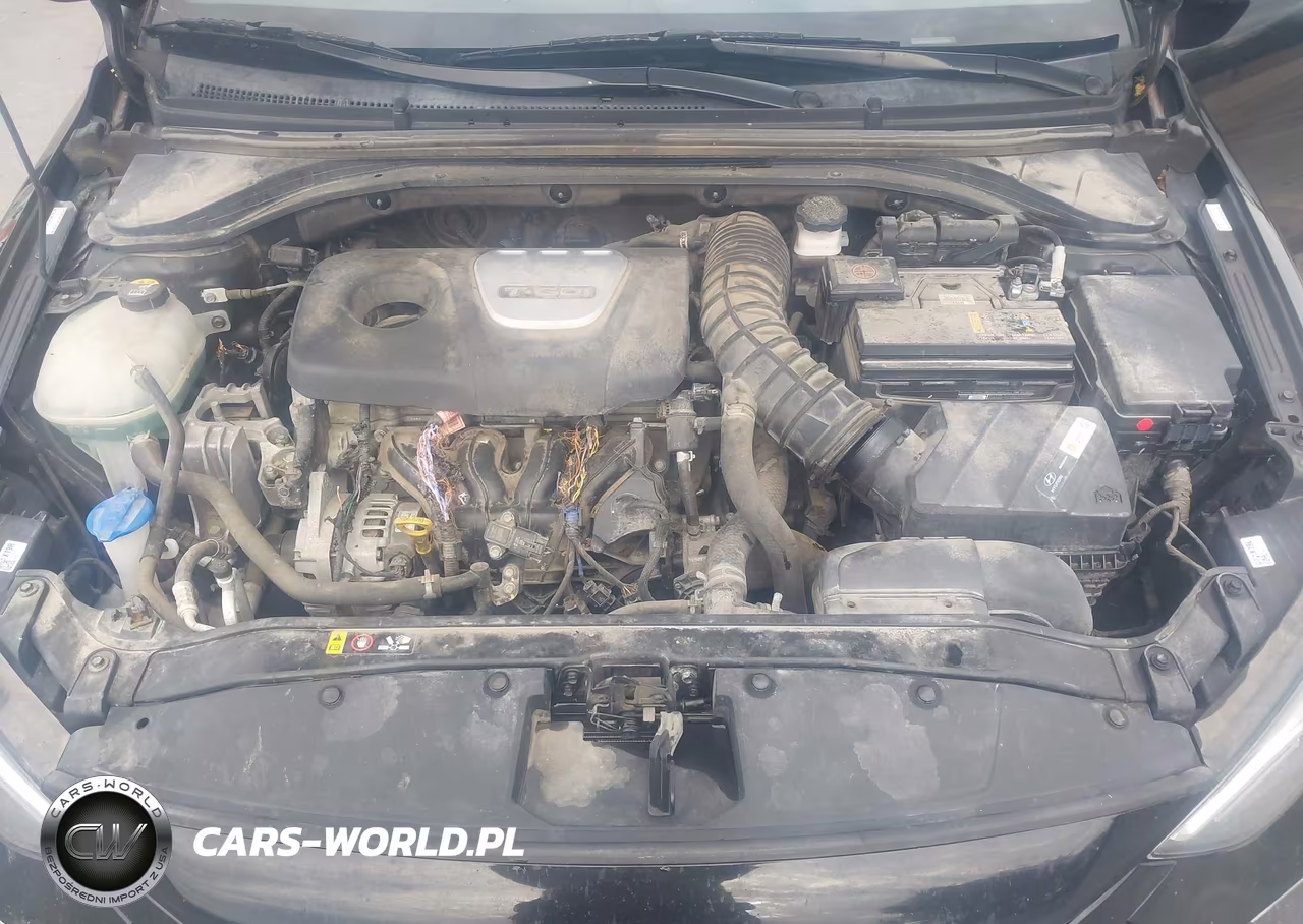 2017 Hyundai Elantra Sport VIN:KMHD04LB9HU332556 - 10