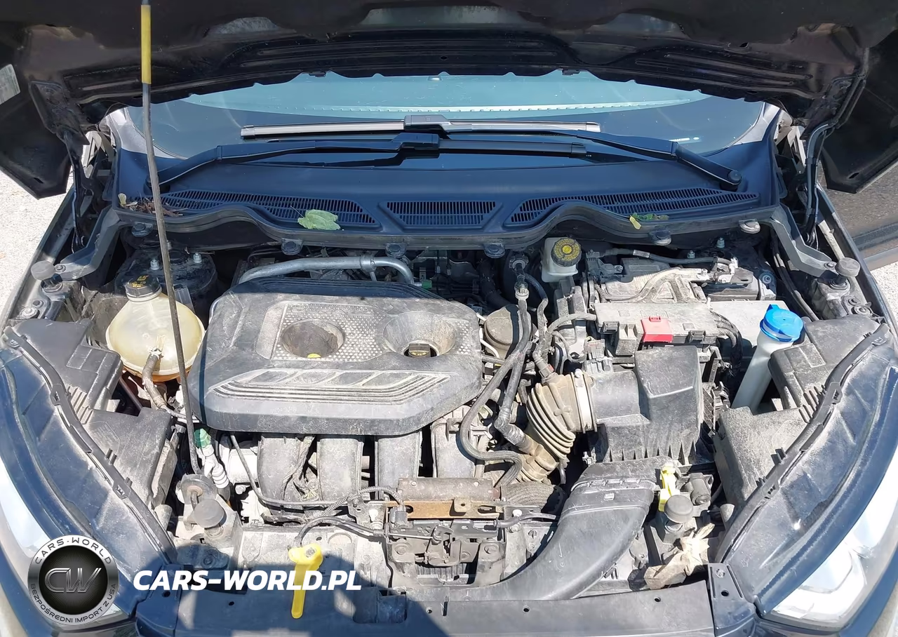 2018 Ford Ecosport Se VIN:MAJ6P1UL6JC220099 - 10