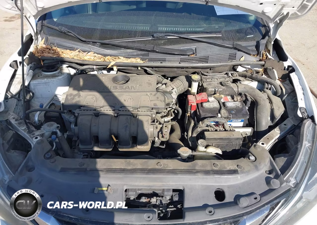 2016 Nissan Sentra S VIN:3N1AB7AP9GY318849 - 10