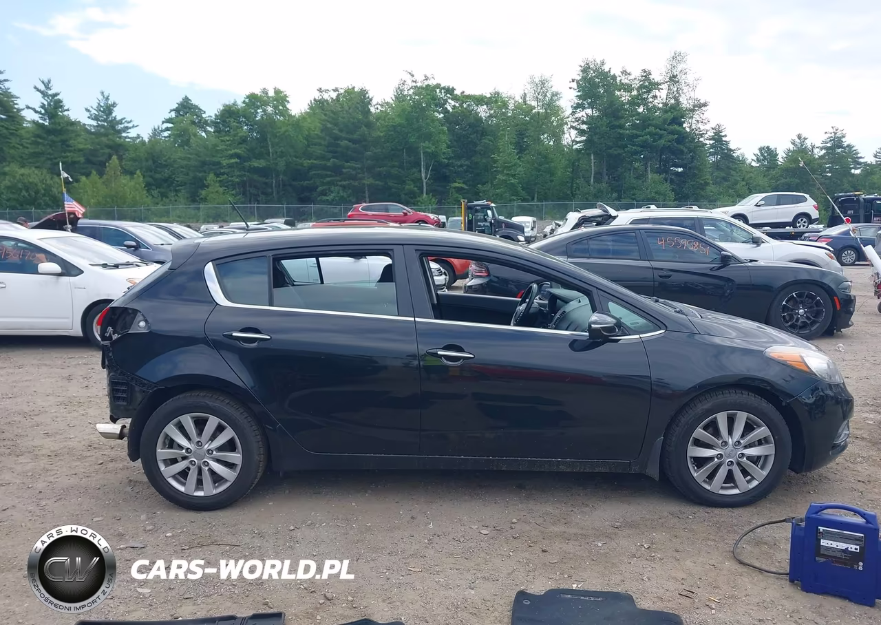 2014 Kia Forte Ex VIN:KNAFX5A83E5156404 - 14
