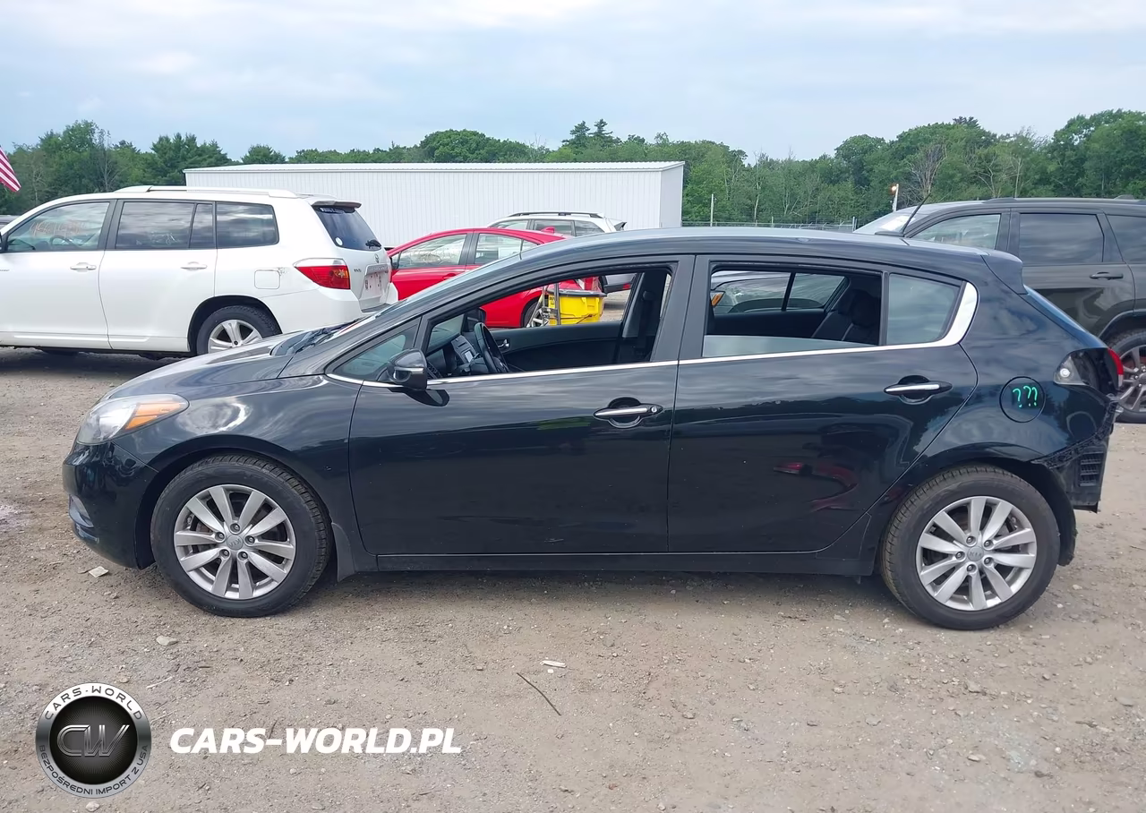 2014 Kia Forte Ex VIN:KNAFX5A83E5156404 - 15