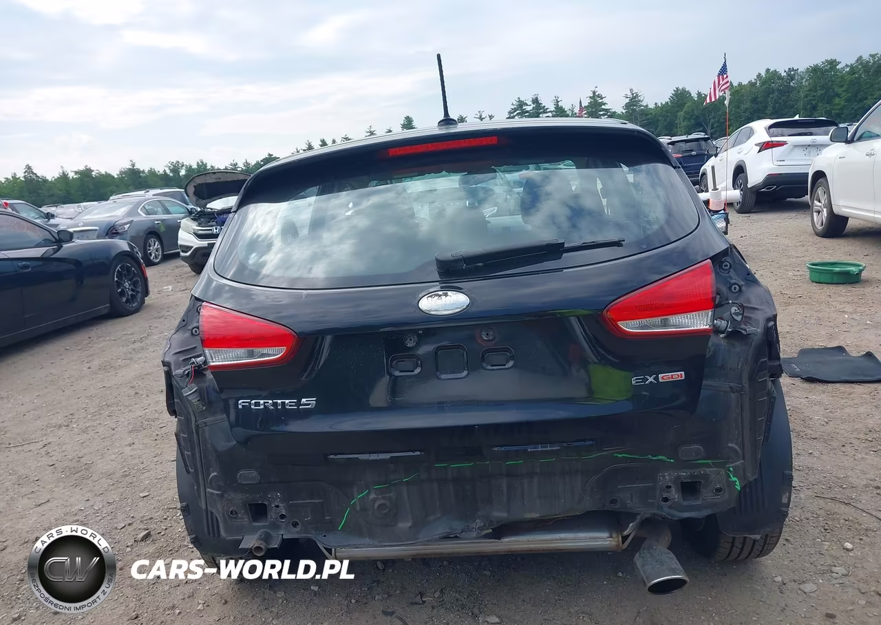 2014 Kia Forte Ex VIN:KNAFX5A83E5156404 - 17