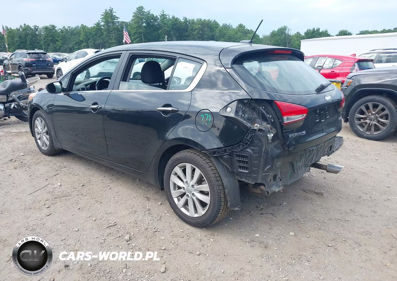 2014 Kia Forte Ex VIN:KNAFX5A83E5156404 - 3