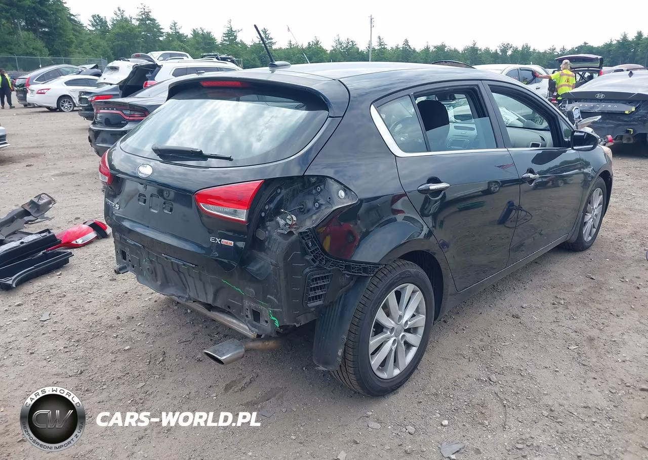2014 Kia Forte Ex VIN:KNAFX5A83E5156404 - 4