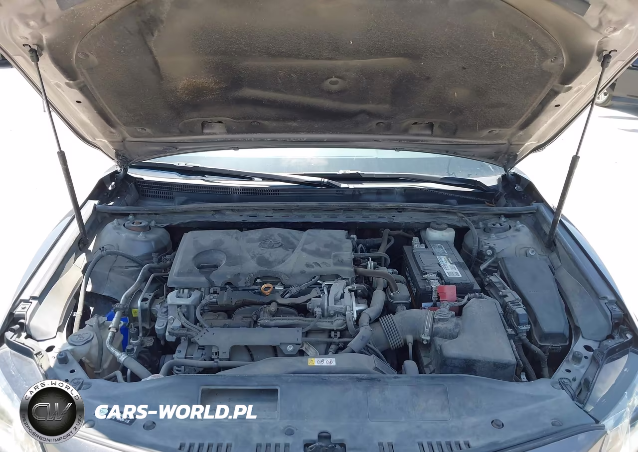 2019 Toyota Camry Se VIN:4T1B11HK4KU843501 - 10