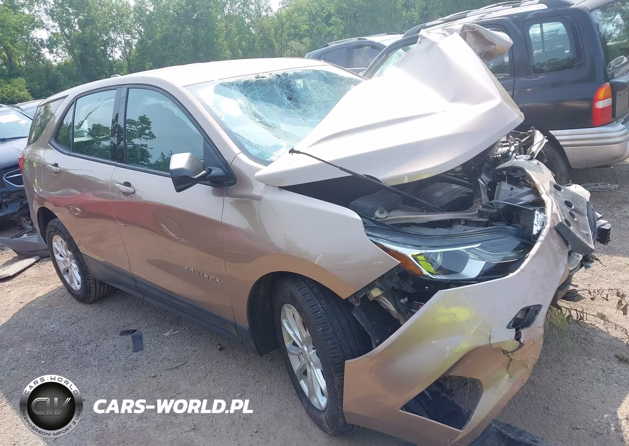 2019 Chevrolet Equinox Ls – zdjęcie 1 z 16