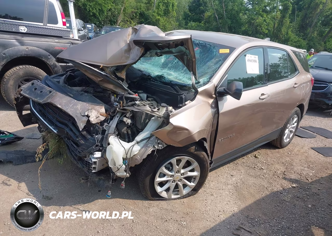 2019 Chevrolet Equinox Ls VIN:2GNAXHEV1K6152454 - 2