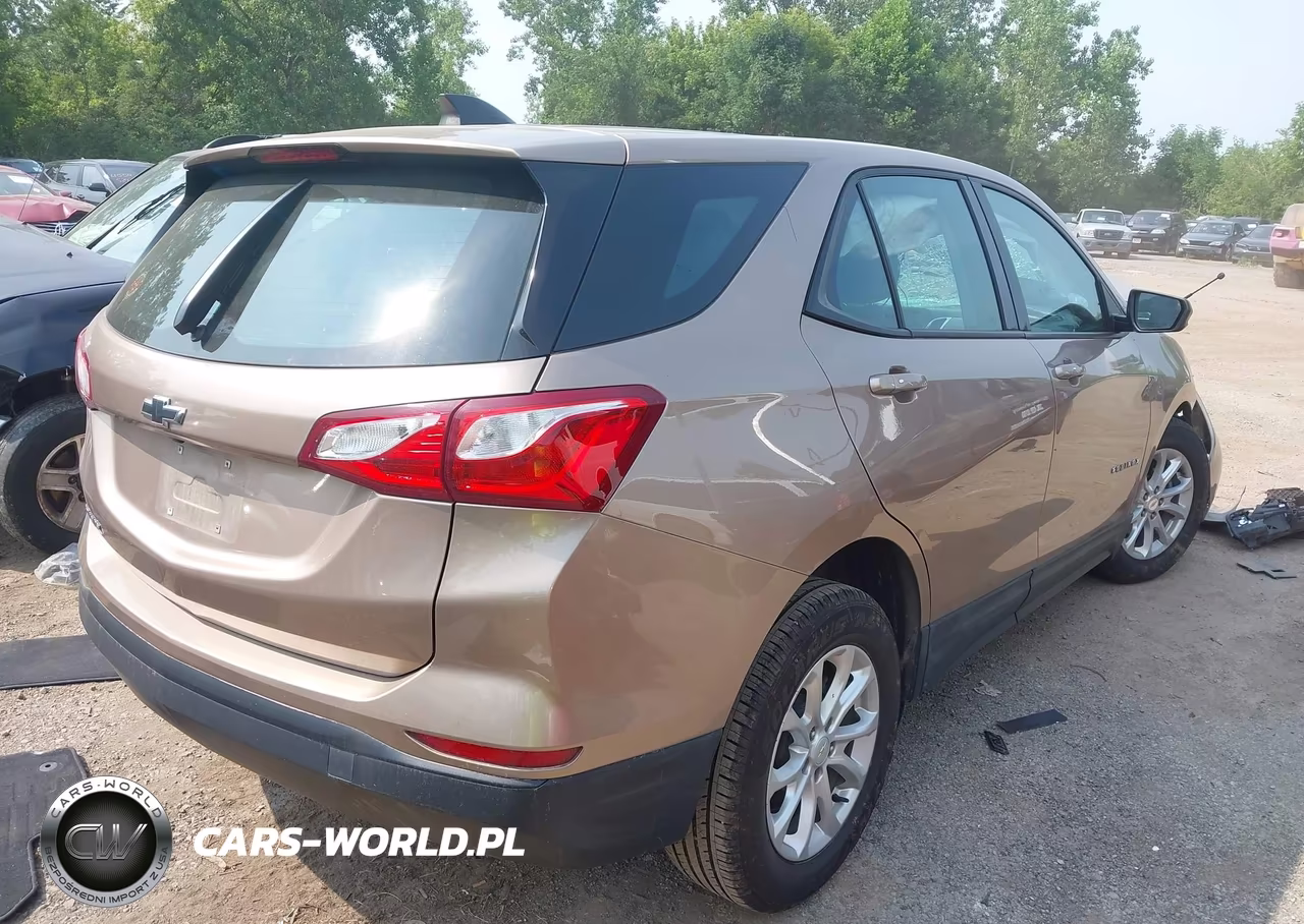 2019 Chevrolet Equinox Ls VIN:2GNAXHEV1K6152454 - 4